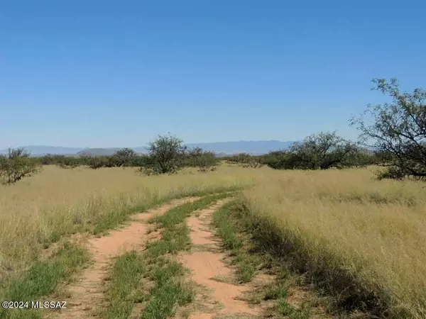 Cochise, AZ 85606,40 AC - 1/4 m W off Stronghold Road #-