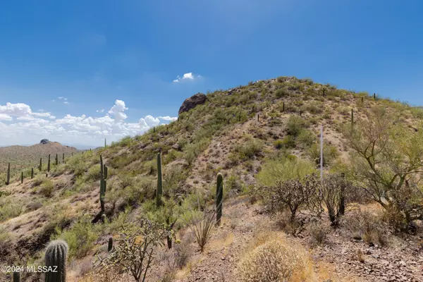 Marana, AZ 85658,000 S Ladybug Street