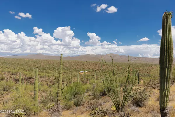 Marana, AZ 85658,0000 S Ladybug Street