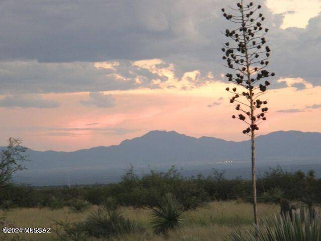 St. David, AZ 85630,E2 68 E Tom Jeffords  #LOT 68