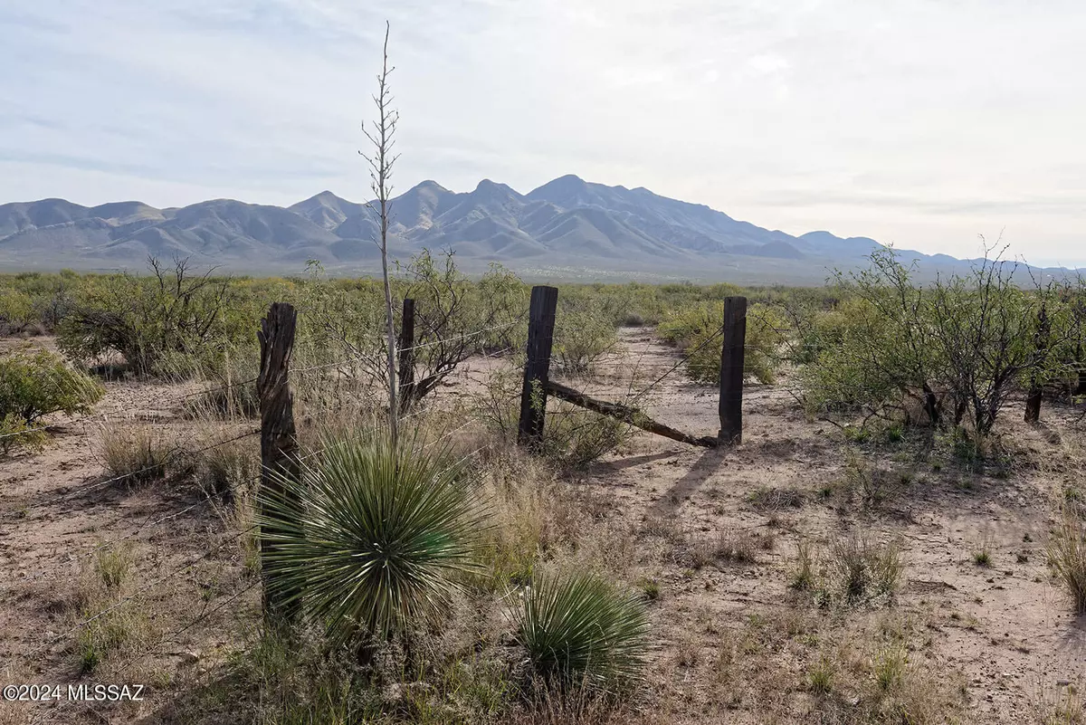 Elfrida, AZ 85610,TBD W Agua Blanca Road #1