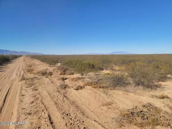 San Simon, AZ 85632,80 Acres on W Sellers Ranch Rd