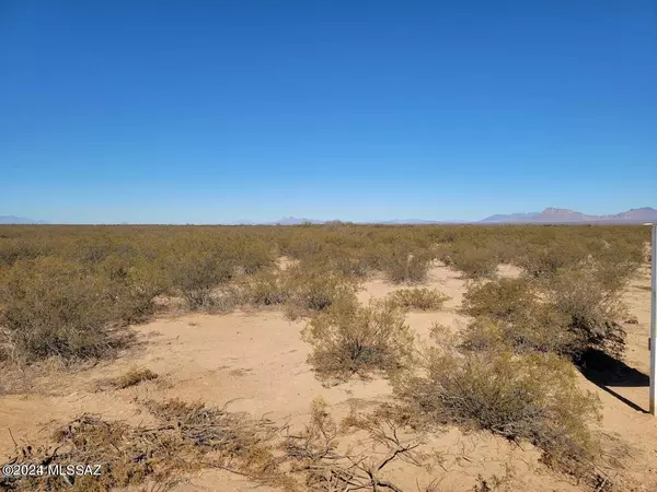 San Simon, AZ 85632,80 Acres on W Sellers Ranch Rd