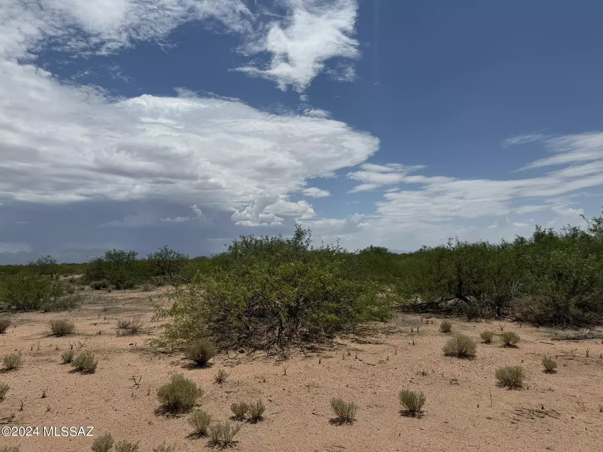 Mc Neal, AZ 85617,36.03 Acre High Lonesome Road #73