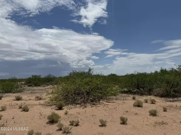 36.03 Acre High Lonesome Road #73, Mc Neal, AZ 85617