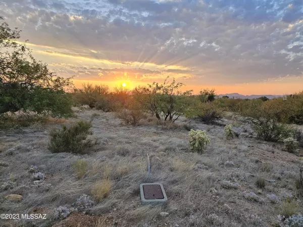 Tucson, AZ 85736,14060 Canelo Avenue #269