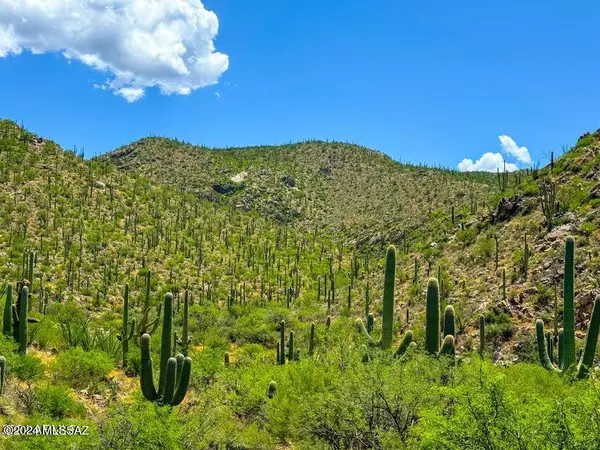 Tucson, AZ 85741,15000 E Redington Rd 13.7 acres