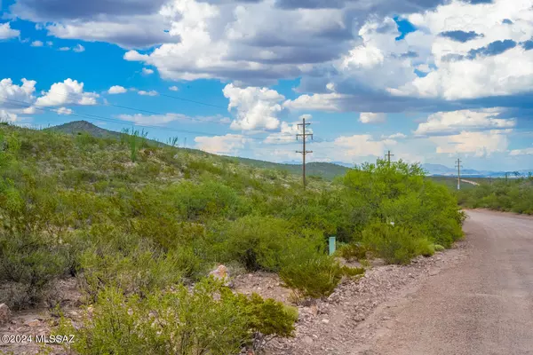 Elfrida, AZ 85610,62 Acres Ghost Town Trail #-