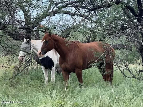 Arivaca, AZ 85601,15301 W Ili Teka Road