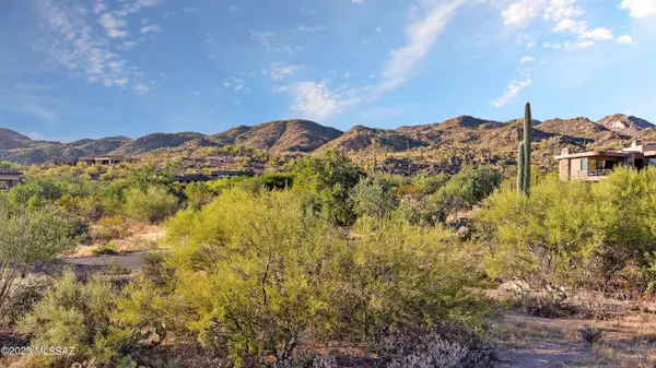 Oro Valley, AZ 85755,1906 W Mountain Mirage Place #161