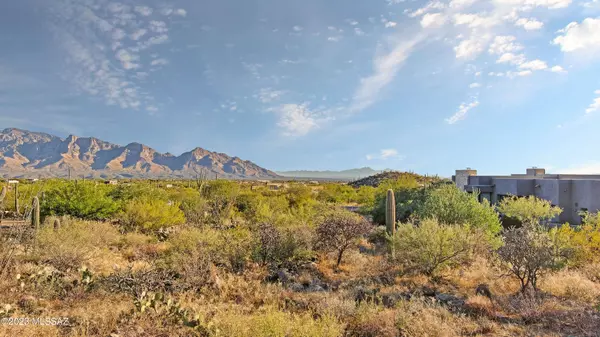 Oro Valley, AZ 85755,1906 W Mountain Mirage Place #161