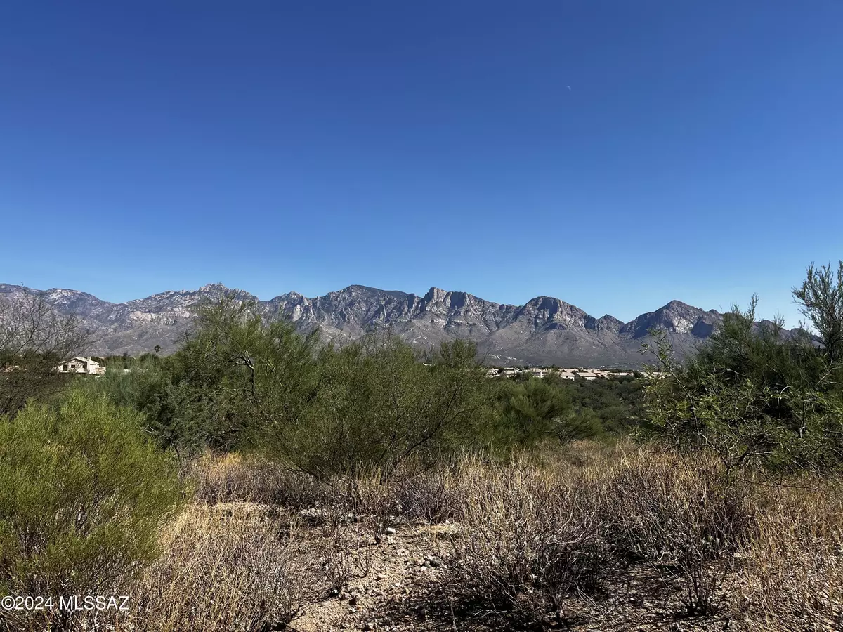 Oro Valley, AZ 85755,12766 N Vistoso Pointe Drive