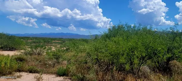 Elfrida, AZ 85610,TBD Highway 191