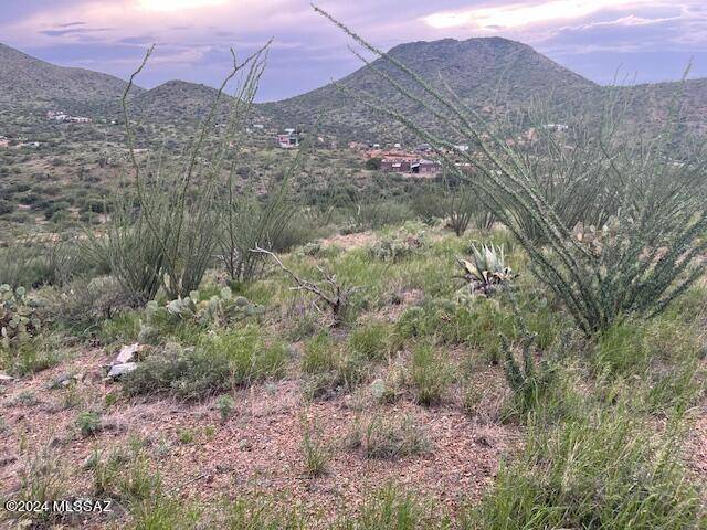 Vail, AZ 85641,S Goodenough Trail #Lot 9