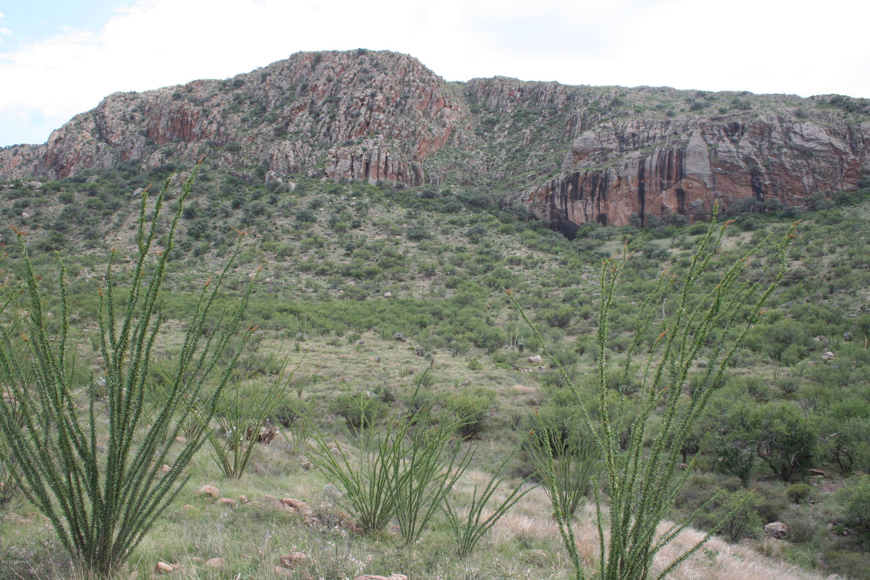 140 Tejano Springs Road #38.1, Tubac, AZ 85646