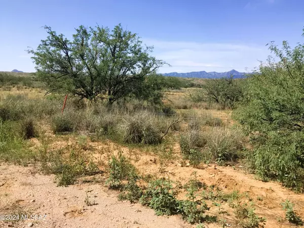 Willcox, AZ 85643,37.15AC S Warbonnet Road #15