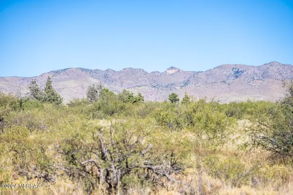 Pearce, AZ 85625,9629 E Broken Soldier Trail #-