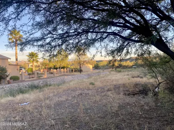 Rio Rico, AZ 85648,459 Chalet Court #26