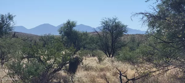 10AC S Bell Road, Benson, AZ 85602