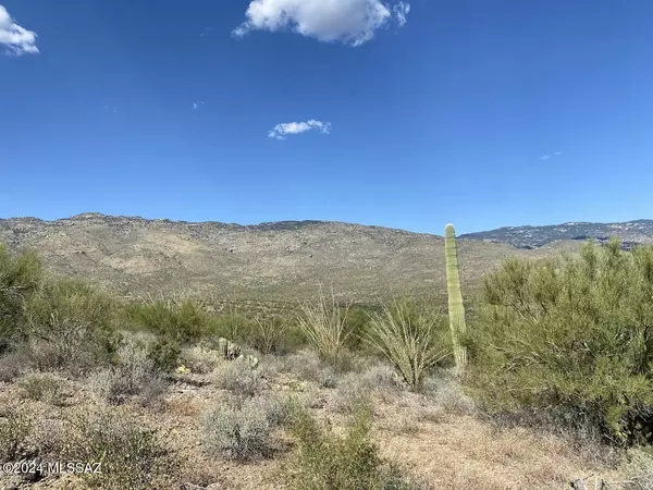 Tucson, AZ 85747,0 Rincon Ranch Road