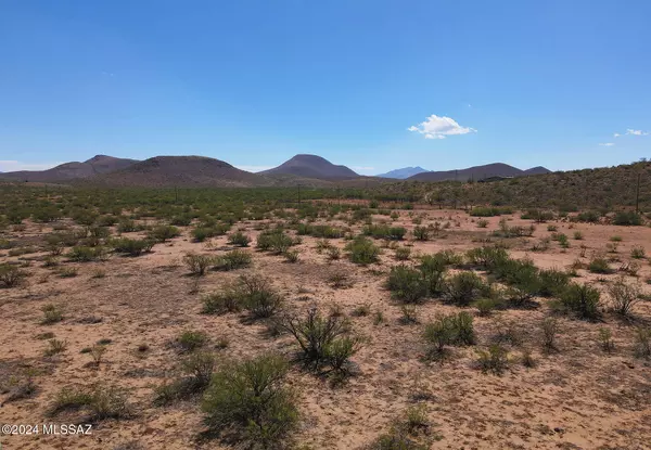 Pearce, AZ 85625,39 Acres N Morgan Road #156