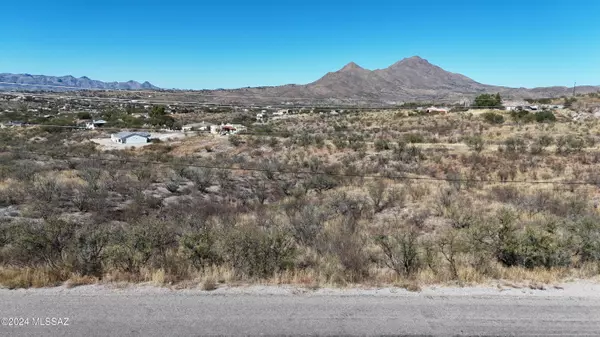 Rio Rico, AZ 85648,194 Camino San Xavier  #16