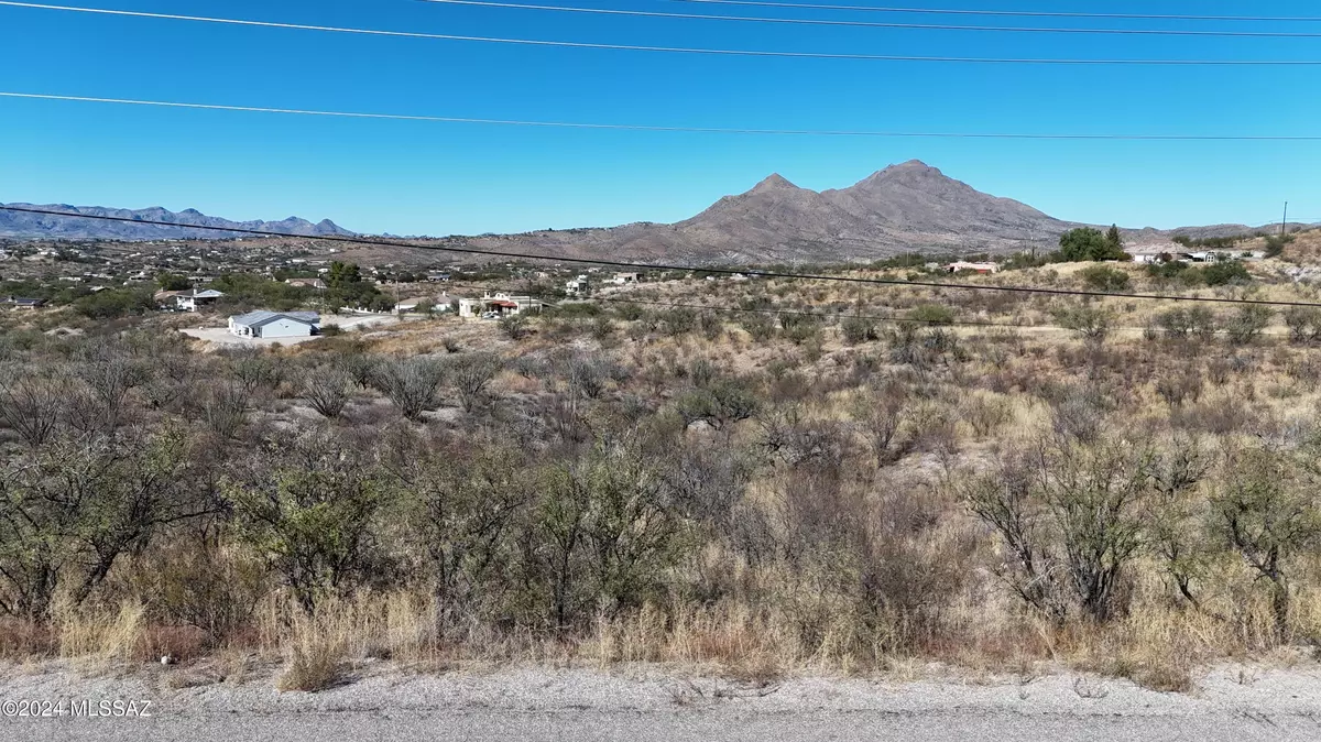 Rio Rico, AZ 85648,194 Camino San Xavier  #16