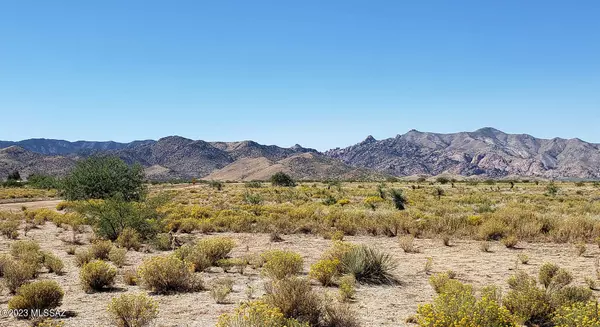 Pearce, AZ 85625,1 Lot W Highland Road #16