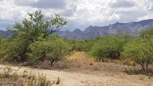 Cochise, AZ 85606,1 Lot W Birch Road #8