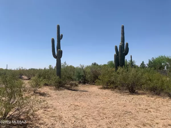 TBD S Longhorn Trail, Marana, AZ 85653