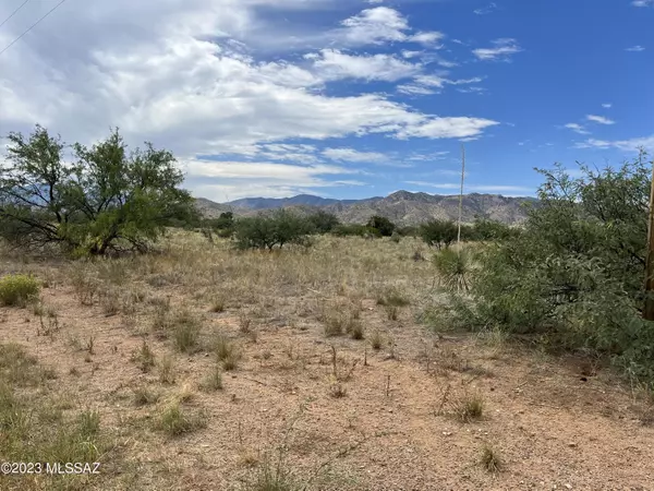 Pearce, AZ 85625,TBD Desert Road #2