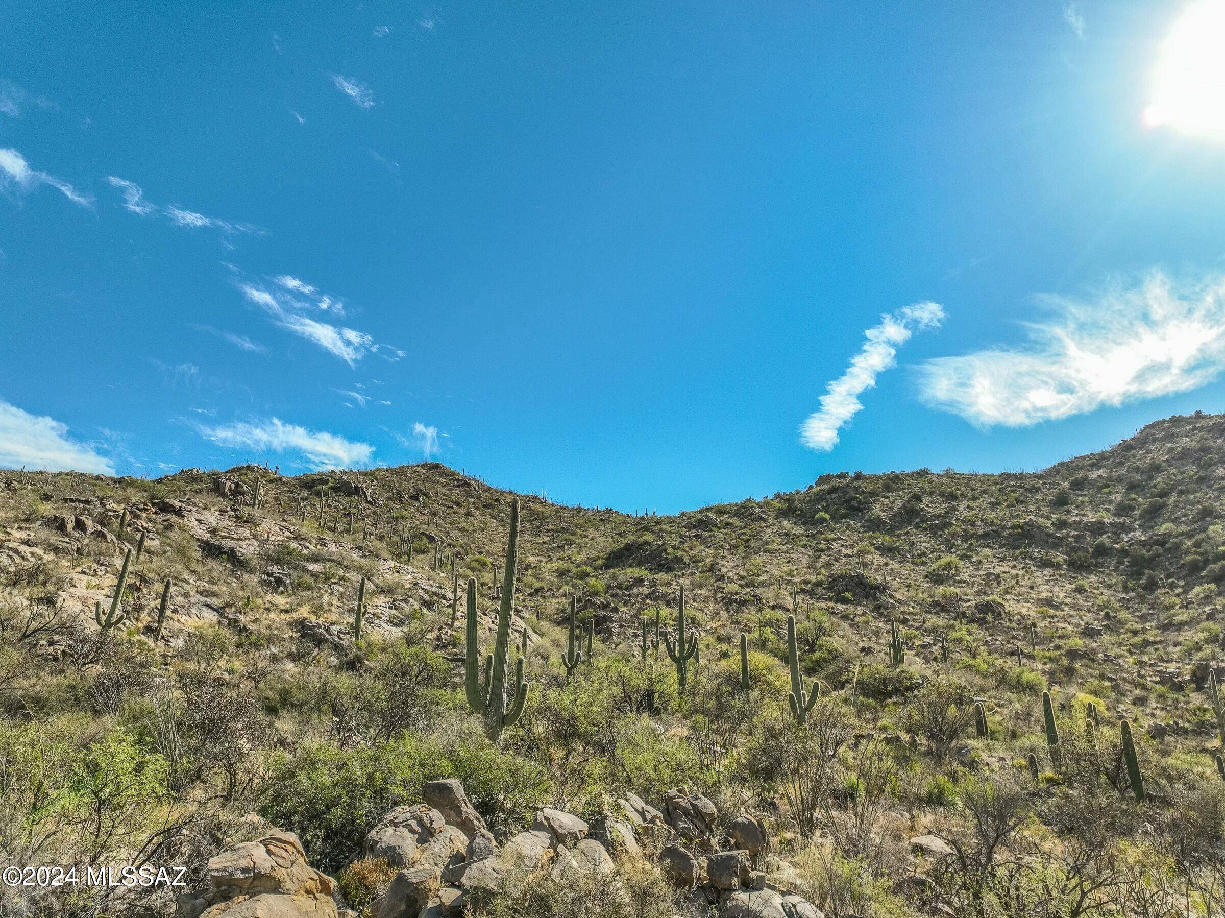 Marana, AZ 85658,15090 N Dove Canyon Pass  #173