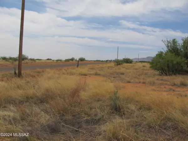 Pearce, AZ 85625,TBD N Desert Road