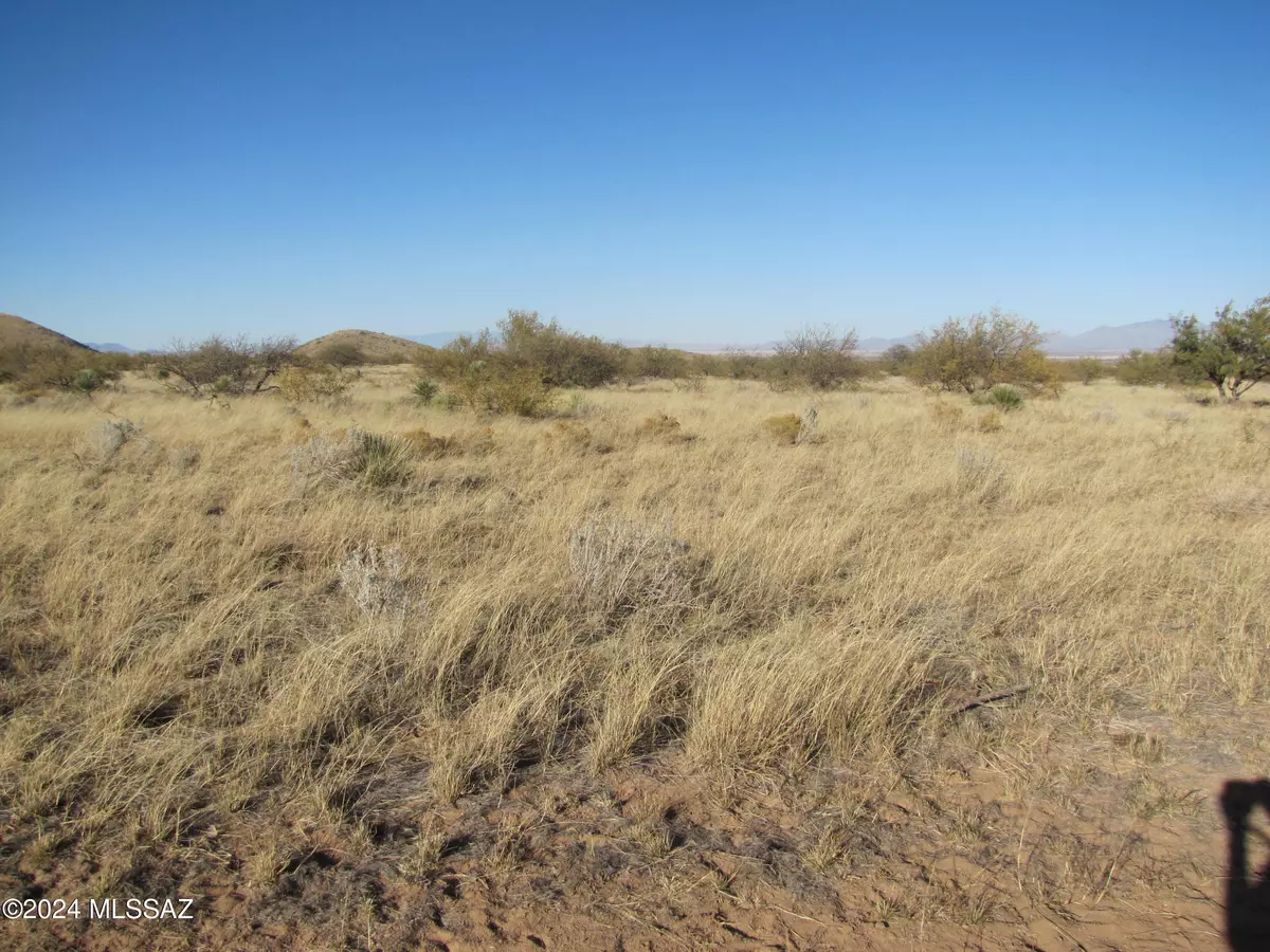 Pearce, AZ 85625,TBD W Pearce Road #13