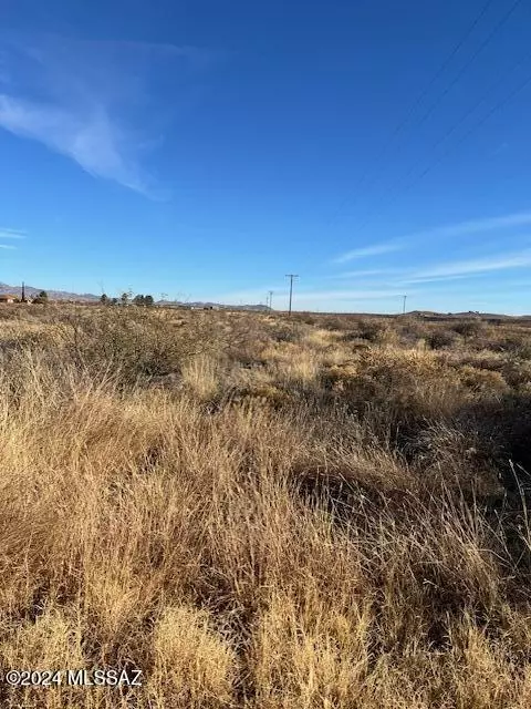 Willcox, AZ 85643,3.81Ac N Coronado  #5