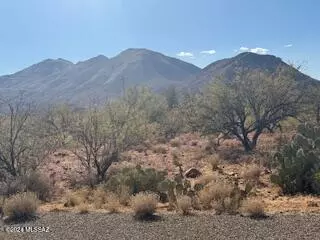 Rio Rico, AZ 85648,450 Via Melon