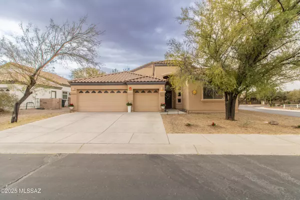 11165 W Gallinule Drive, Marana, AZ 85653