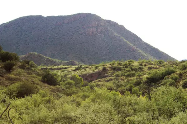 Tubac, AZ 85646,000 Alamo Canyon Drive #71