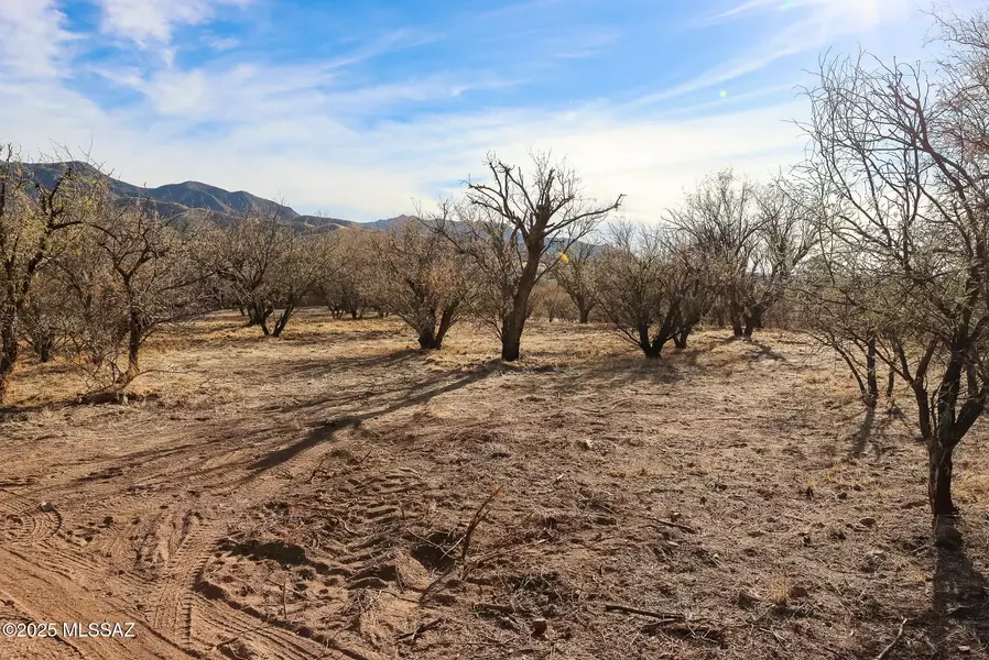 137 Three R Avenue #A, Patagonia, AZ 85624