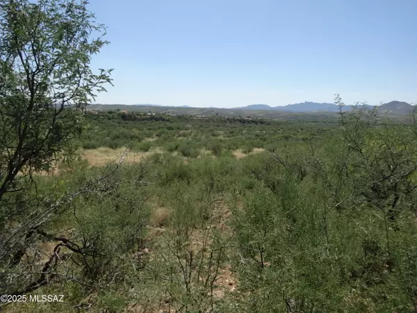 Rio Rico, AZ 85648,1774 Circulo Corona  #55