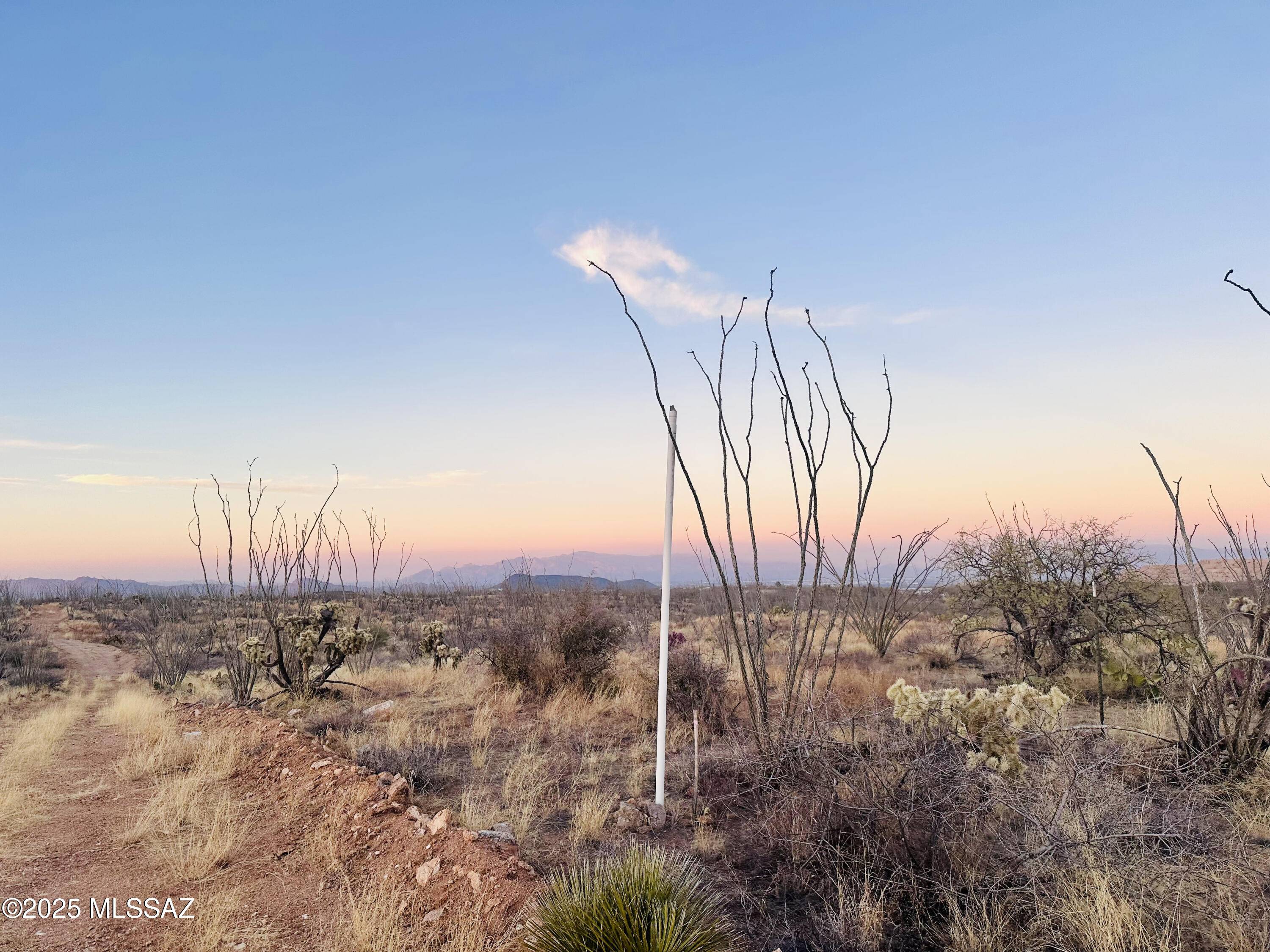 Sahuarita, AZ 85629,7377 W Bucking Horse Road