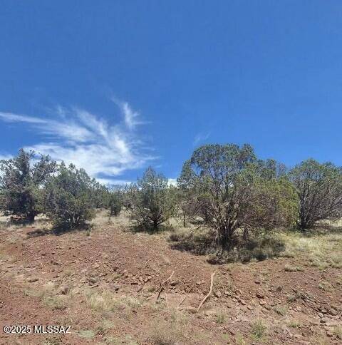 Williams, AZ 86046,3297 N Joyce Drive