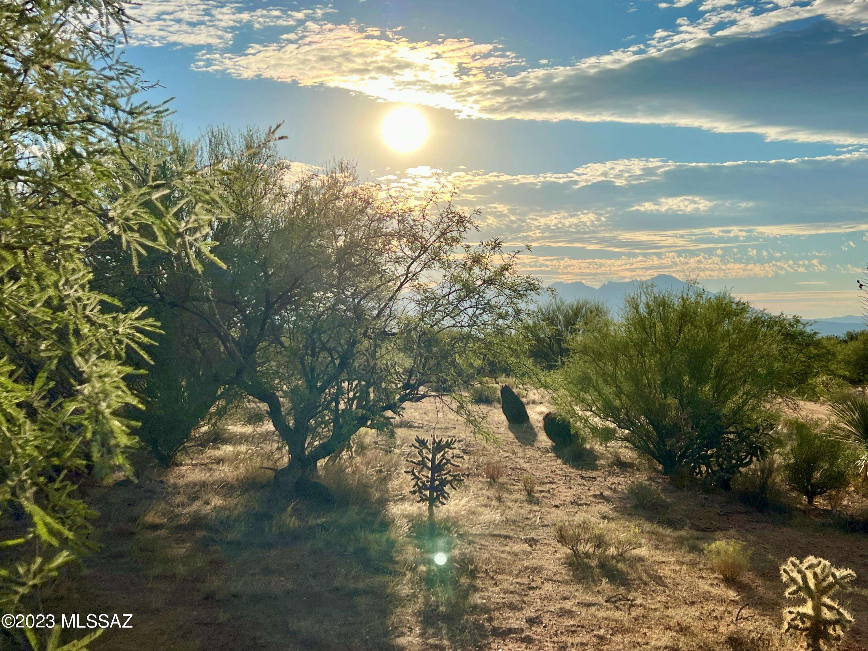 15783 W Phillips Road #151, Tucson, AZ 85736