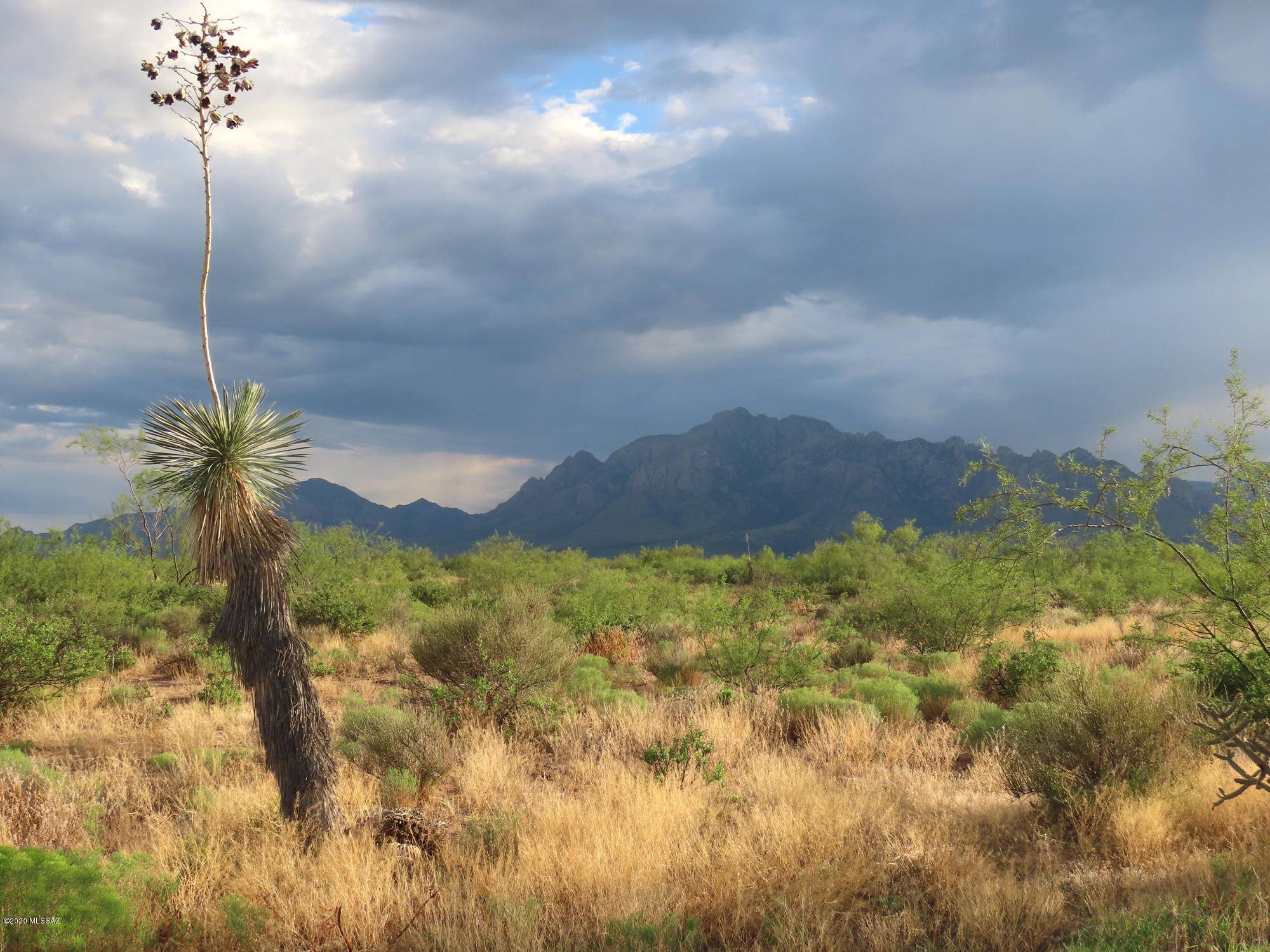 20 ac S B Lee Lane  #0, Portal, AZ 85632
