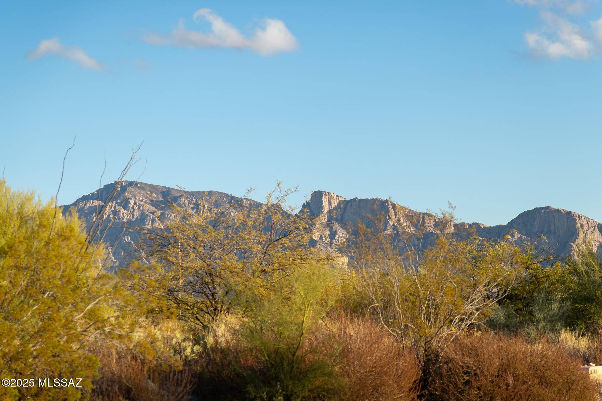 Oro Valley, AZ 85755,14191 N Giant Saguaro Place