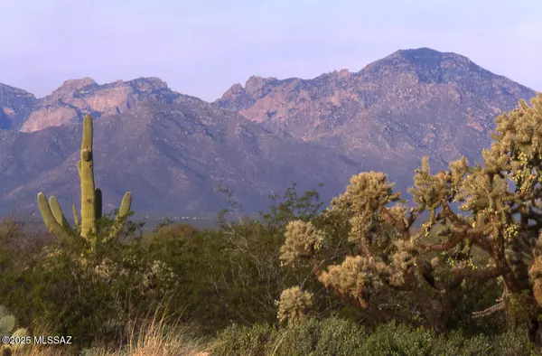 Tucson, AZ 85736,411 lots W Reata Boulevard #-