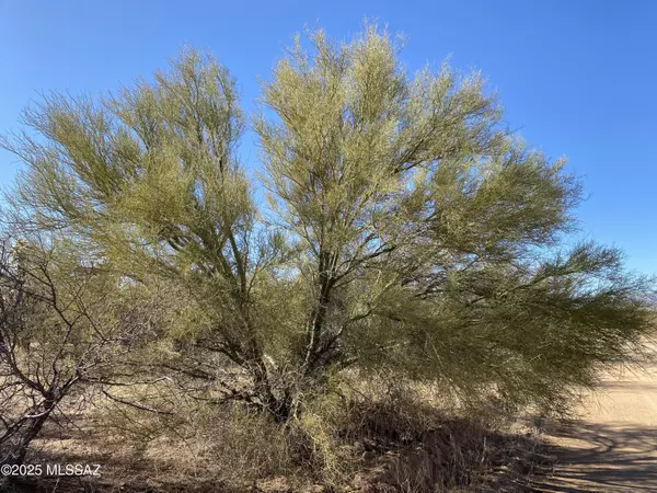 Tucson, AZ 85736,411 lots W Reata Boulevard #-