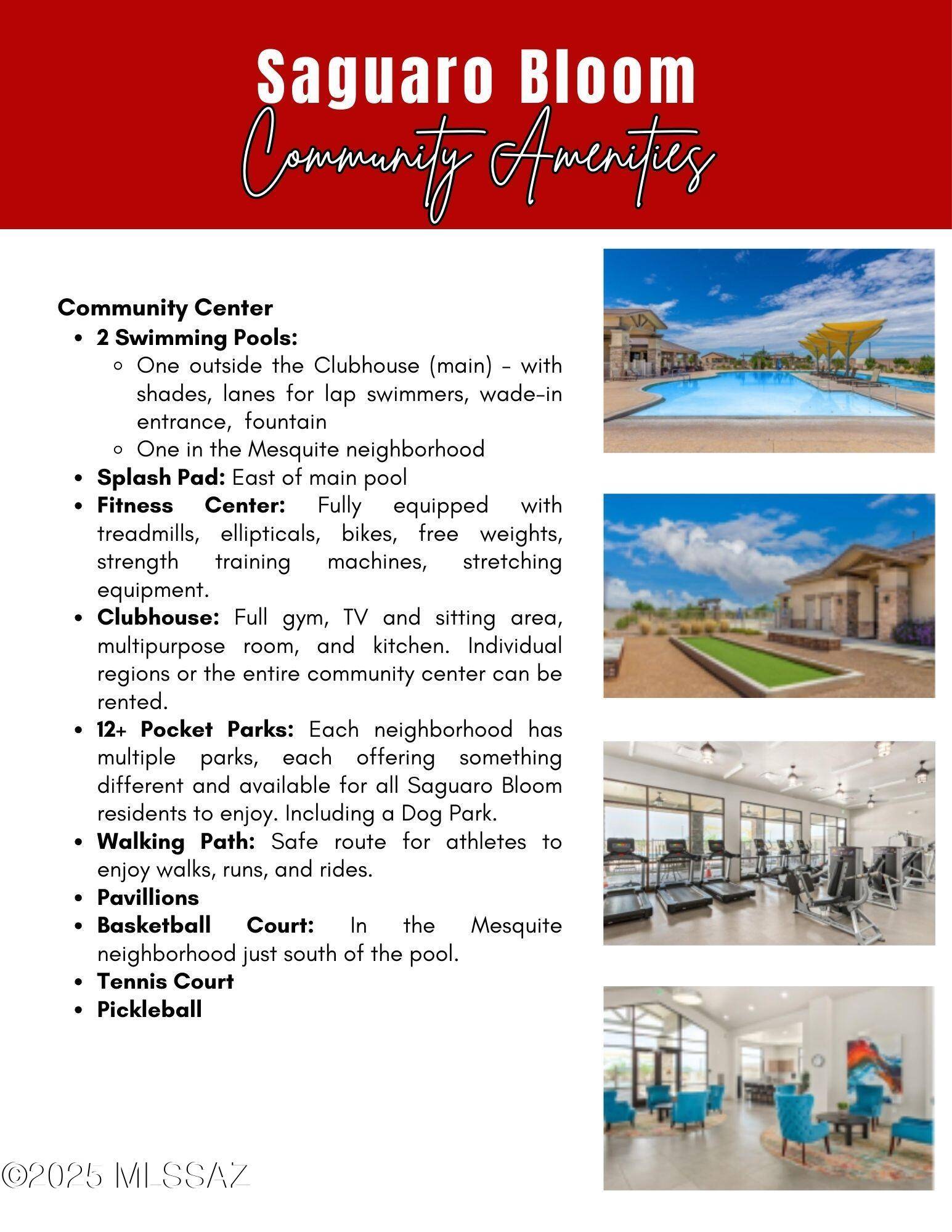 Marana, AZ 85653,8783 W Weeping Dalea Drive