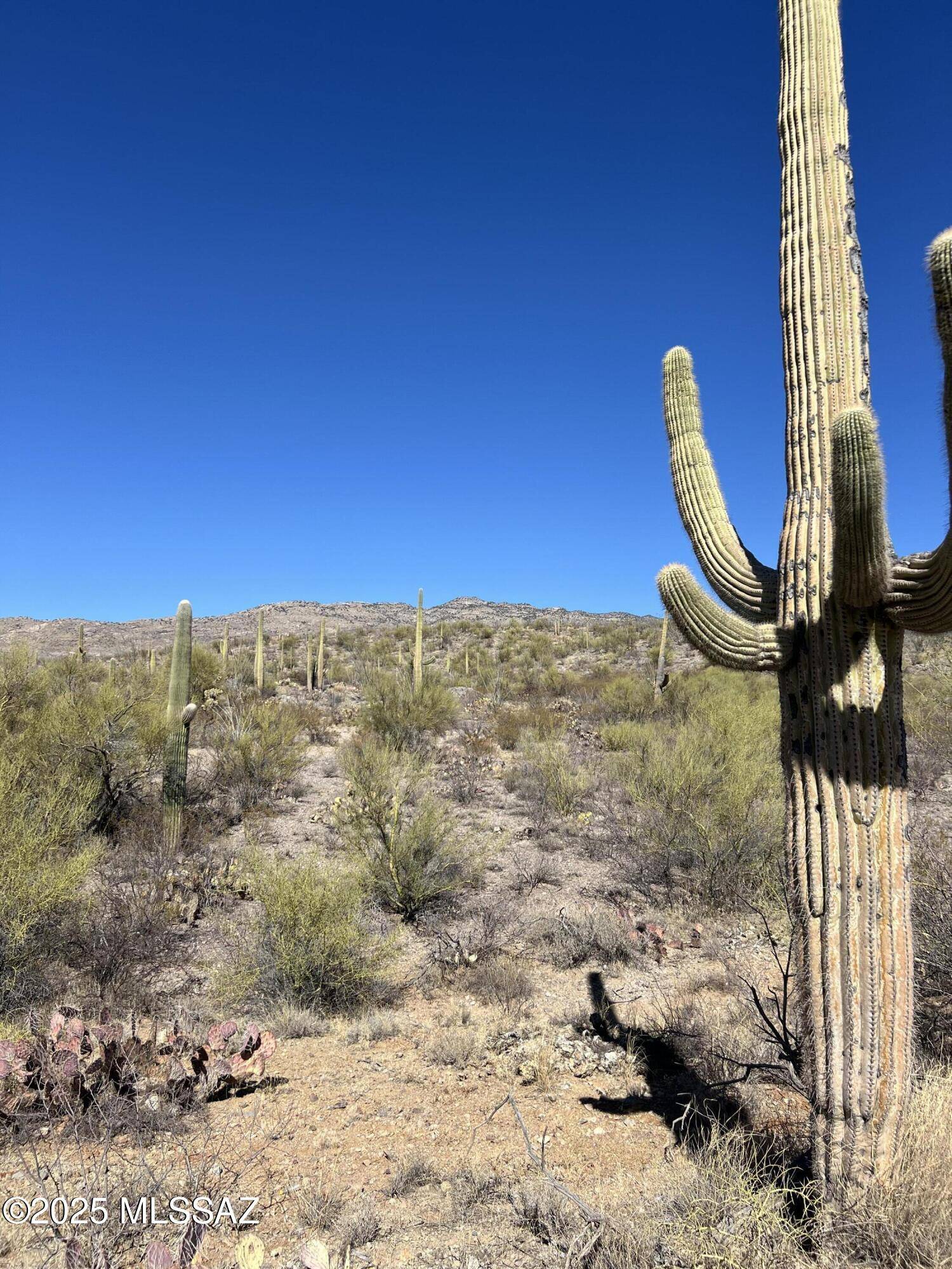 Tucson, AZ 85747,15175 E Rincon Creek Ranch Road