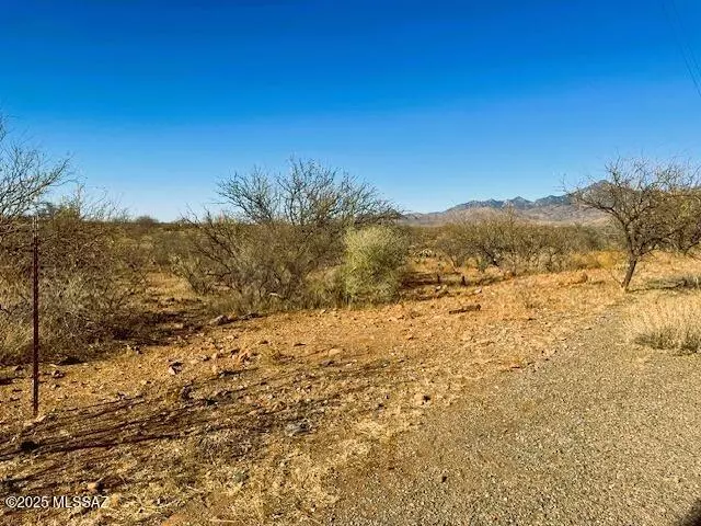 Rio Rico, AZ 85648,1916 Circulo Huerta  #19
